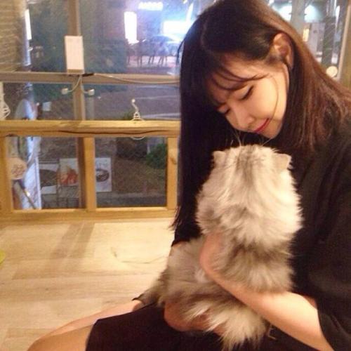 洛川县美食微信分享群