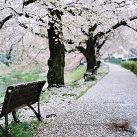 曲沃县美食微信分享群