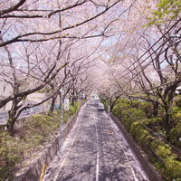 新城区一中高中同学微信群