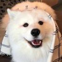 宜川县美食微信分享群