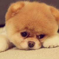 衡阳县一中高中同学微信群