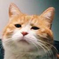 大冶市美食微信分享群