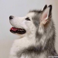 天长市美食微信分享群