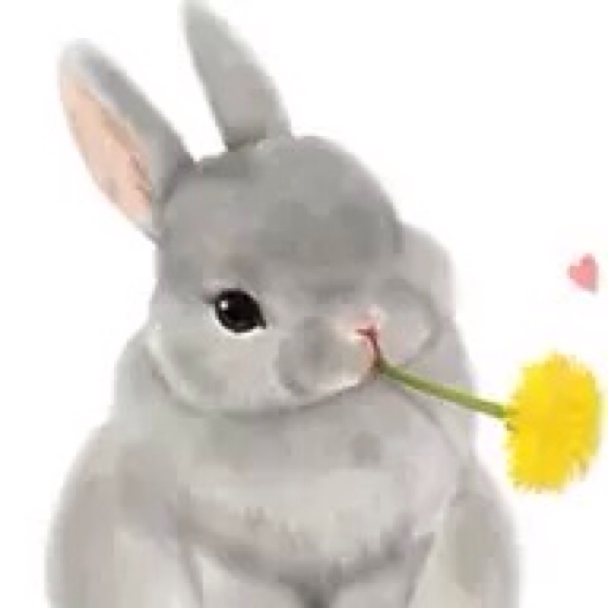 路北区美食微信分享群