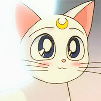 武川县美食微信分享群